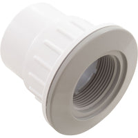 Fiberglass Pool Wallfitting (W/Nut, Gray)