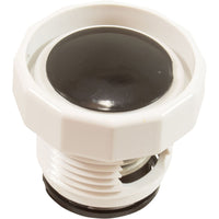Cleaner Presure Relief Valve (Polaris)