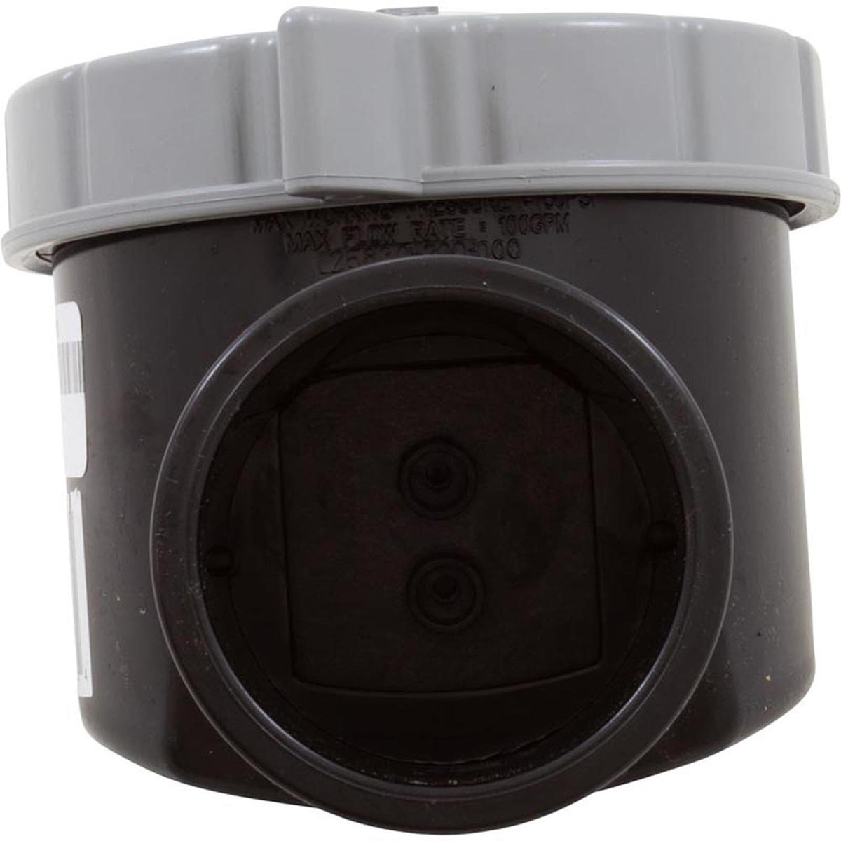 Serviceable Check Valve (Straight) 2In Sl