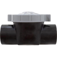 Serviceable Check Valve (Straight) 2In Sl