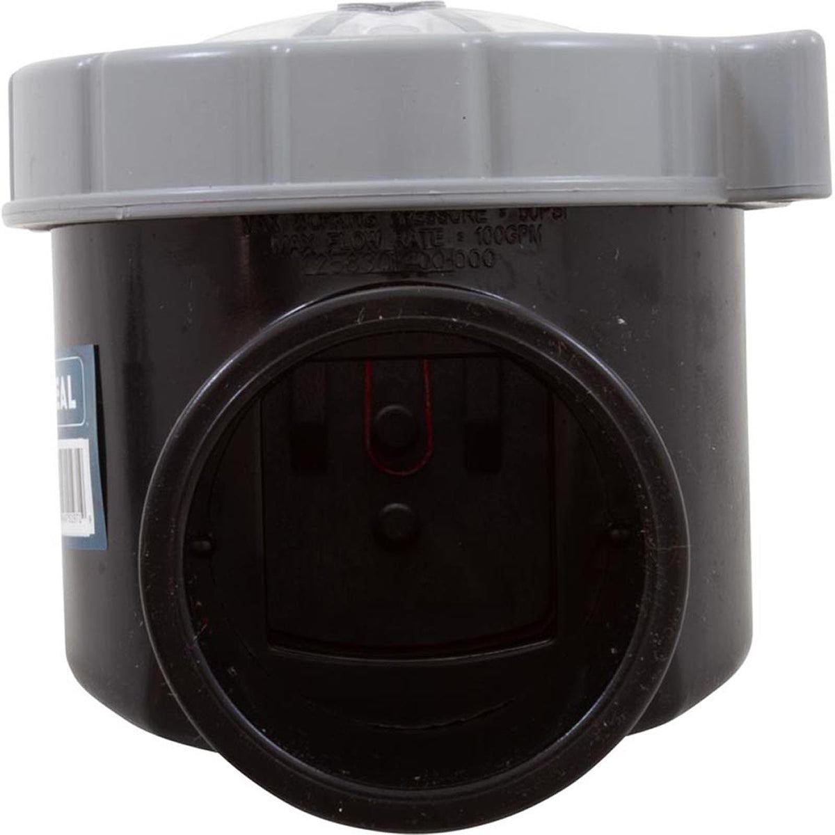 Corrosion Resistant Serviceable Check Valve, 2In