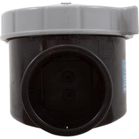 Corrosion Resistant Serviceable Check Valve, 2In