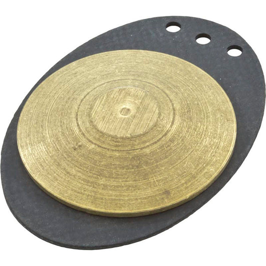 Válvula de retención de diafragma de 2" Wt