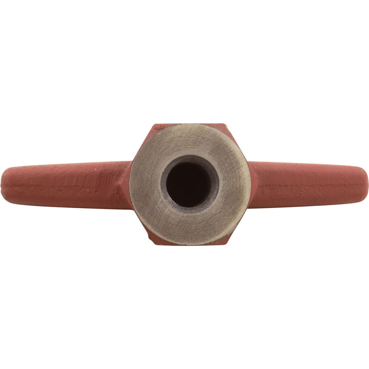 Wing Nut Comm Strainer