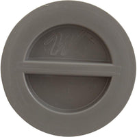 Flush Plug 1 1/2" W/Gasket-Gray