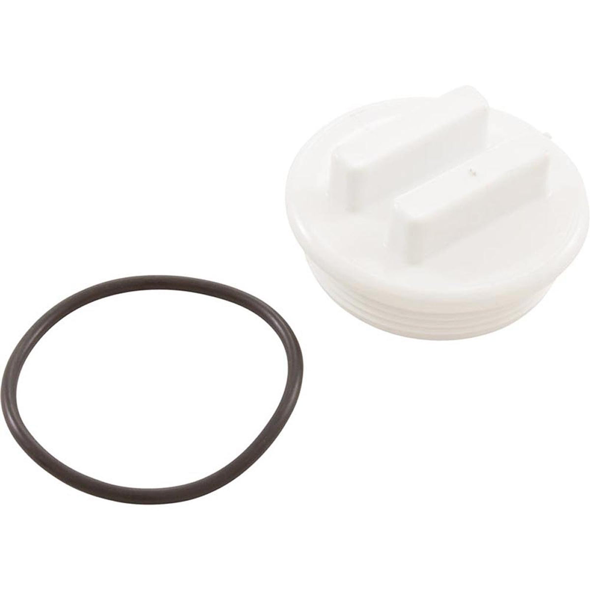 2"N.P.T. Plug W/Oring