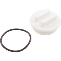 2"N.P.T. Plug W/Oring