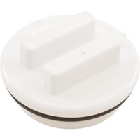 2"N.P.T. Plug W/Oring