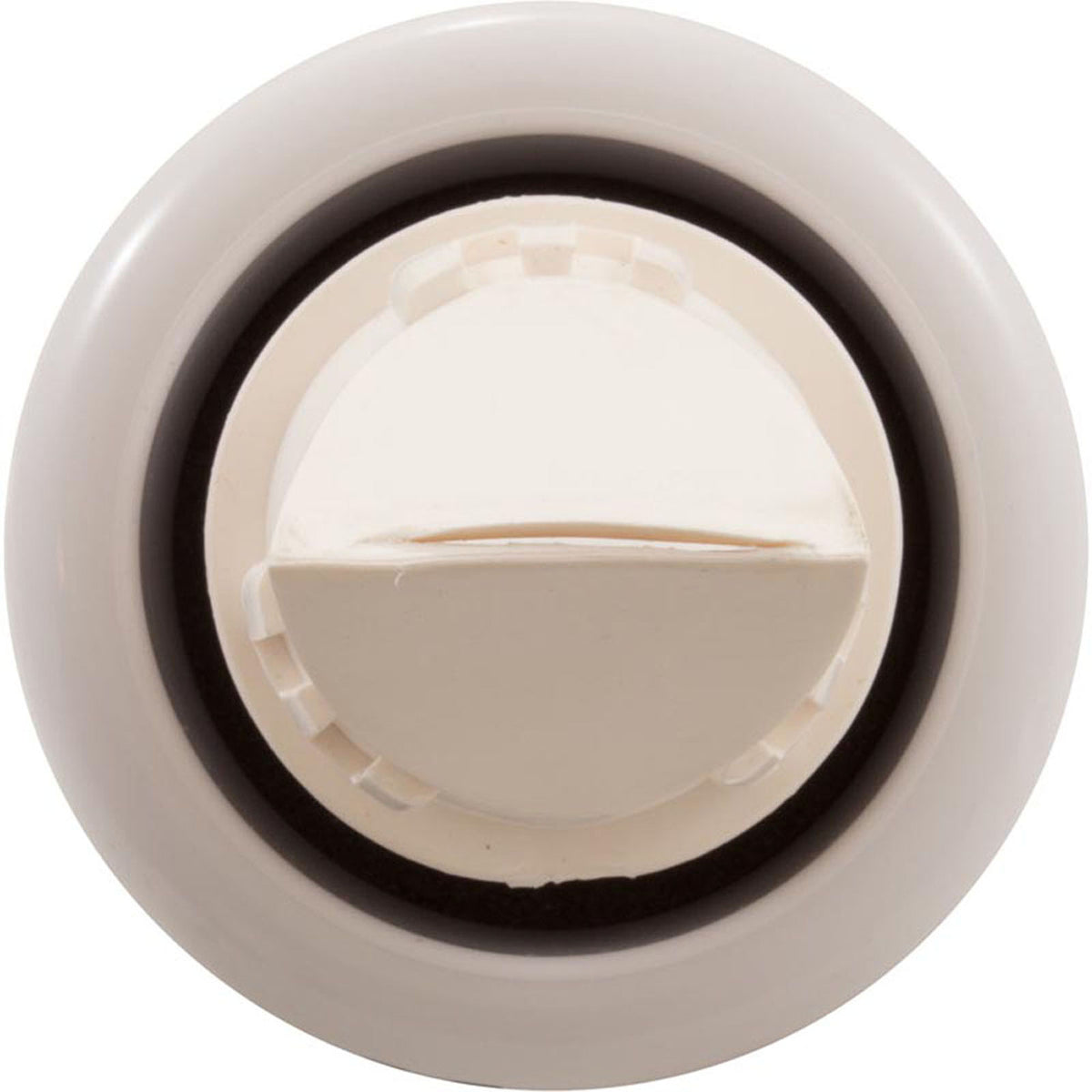 Jandy Pro Series Assembly, End Cap and Valve