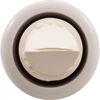 Jandy Pro Series Assembly, End Cap and Valve