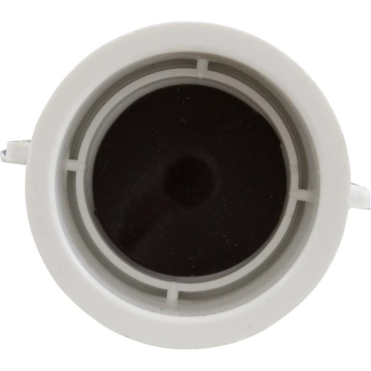 Bath 1" Check Valve W/Flapper Assembly