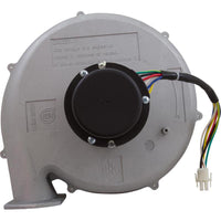 Combustion Blower Kit 175K Na