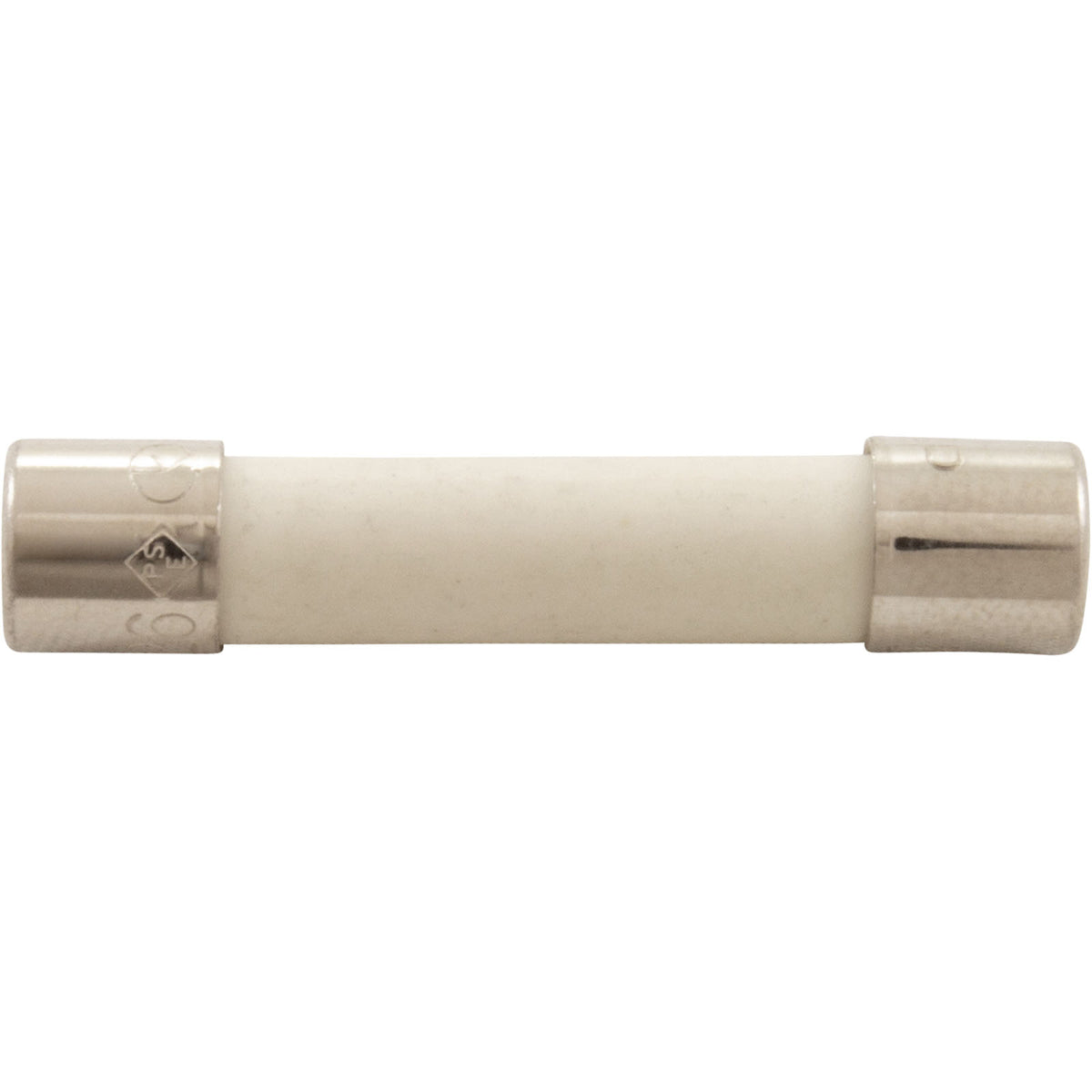 Jandy Pro Series 3.0 Amp Fuse Autoclearplus 115V