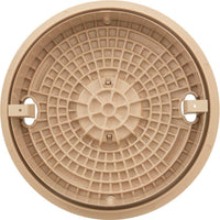 Pentair Lid Ring Complete Beige S15 & S20
