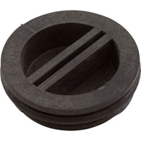 Plug Winterize W/Oring