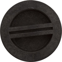 Plug Winterize W/Oring