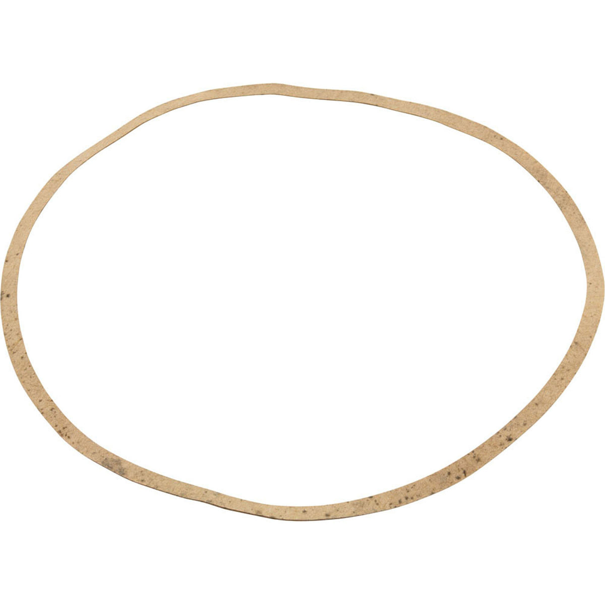 Gasket Sta-Rite AJ Series C20-79