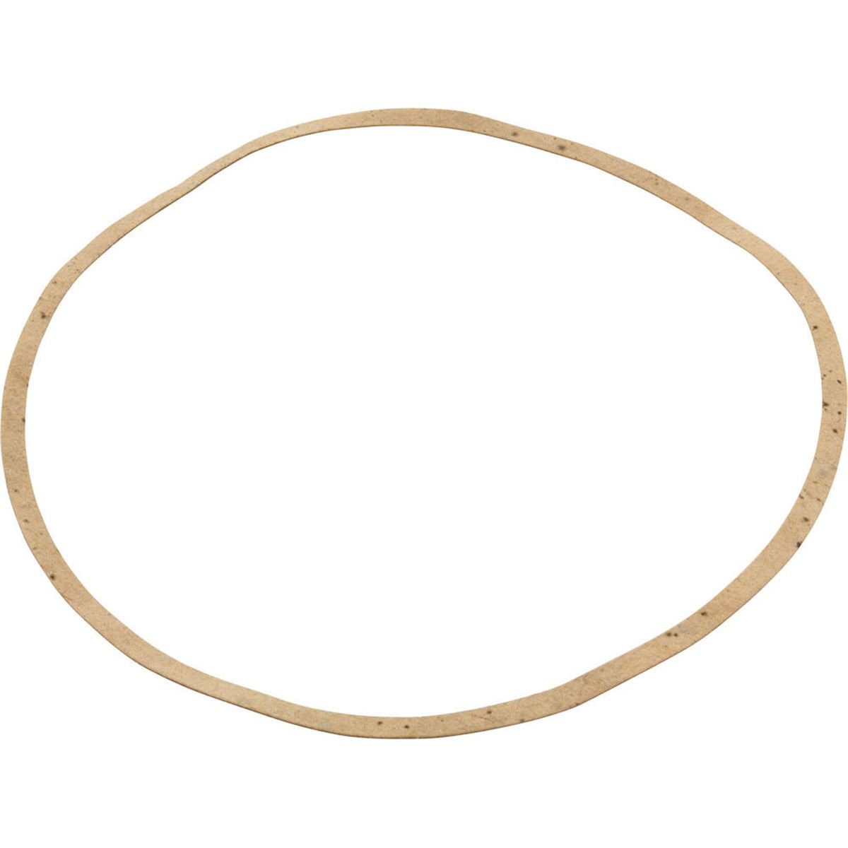 Gasket Sta-Rite AJ Series C20-79