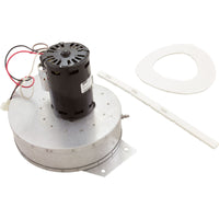 Combustion Blower, 110V