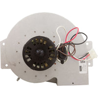 Combustion Blower, 110V