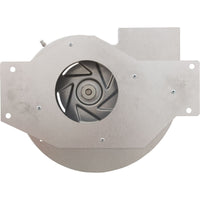 Combustion Blower, 110V