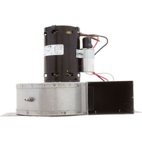 Combustion Blower, 110V