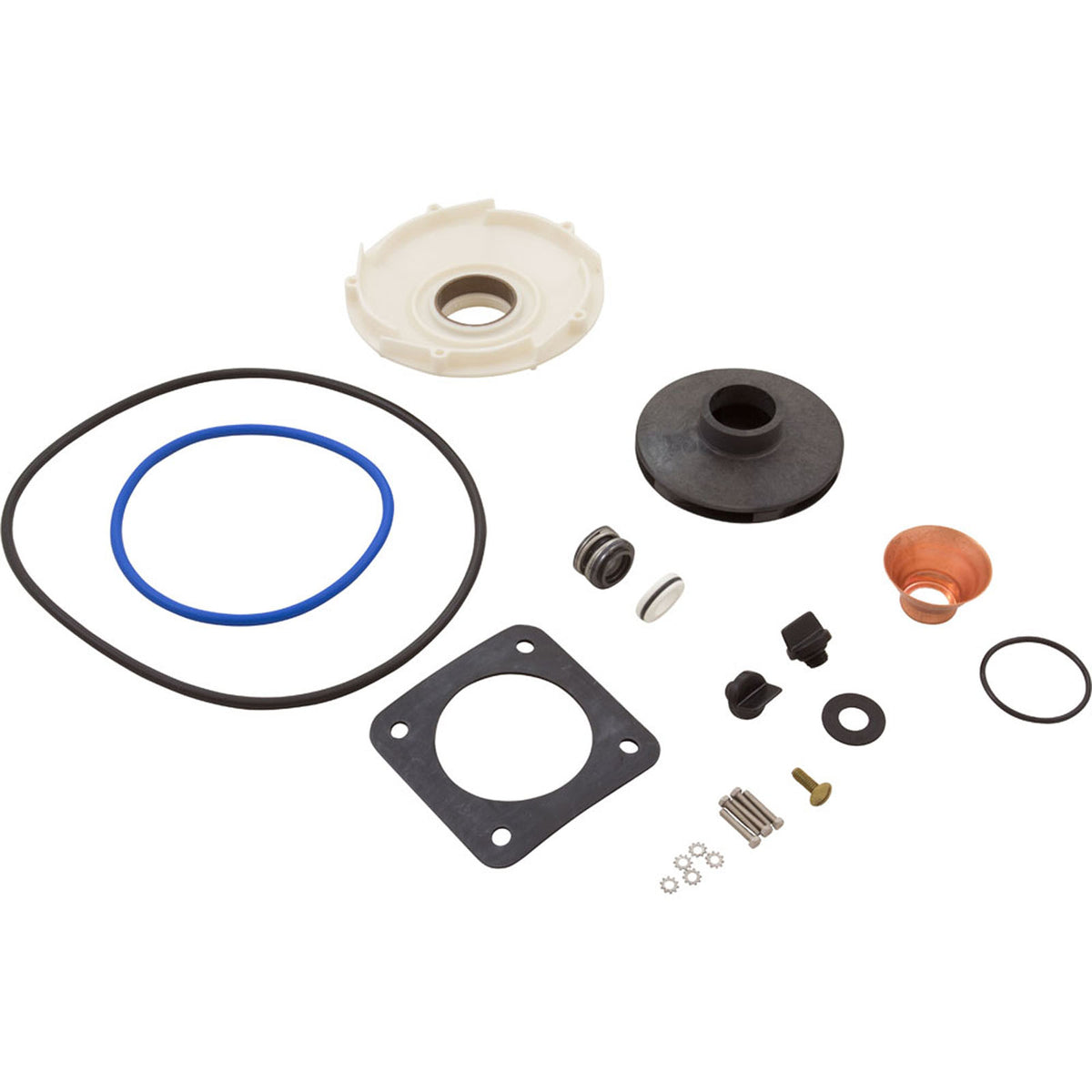 Seal Kit, Pentair/Sta-Rite, DuraGlas/MaxiGlas, 1hp - 1-1/2hp