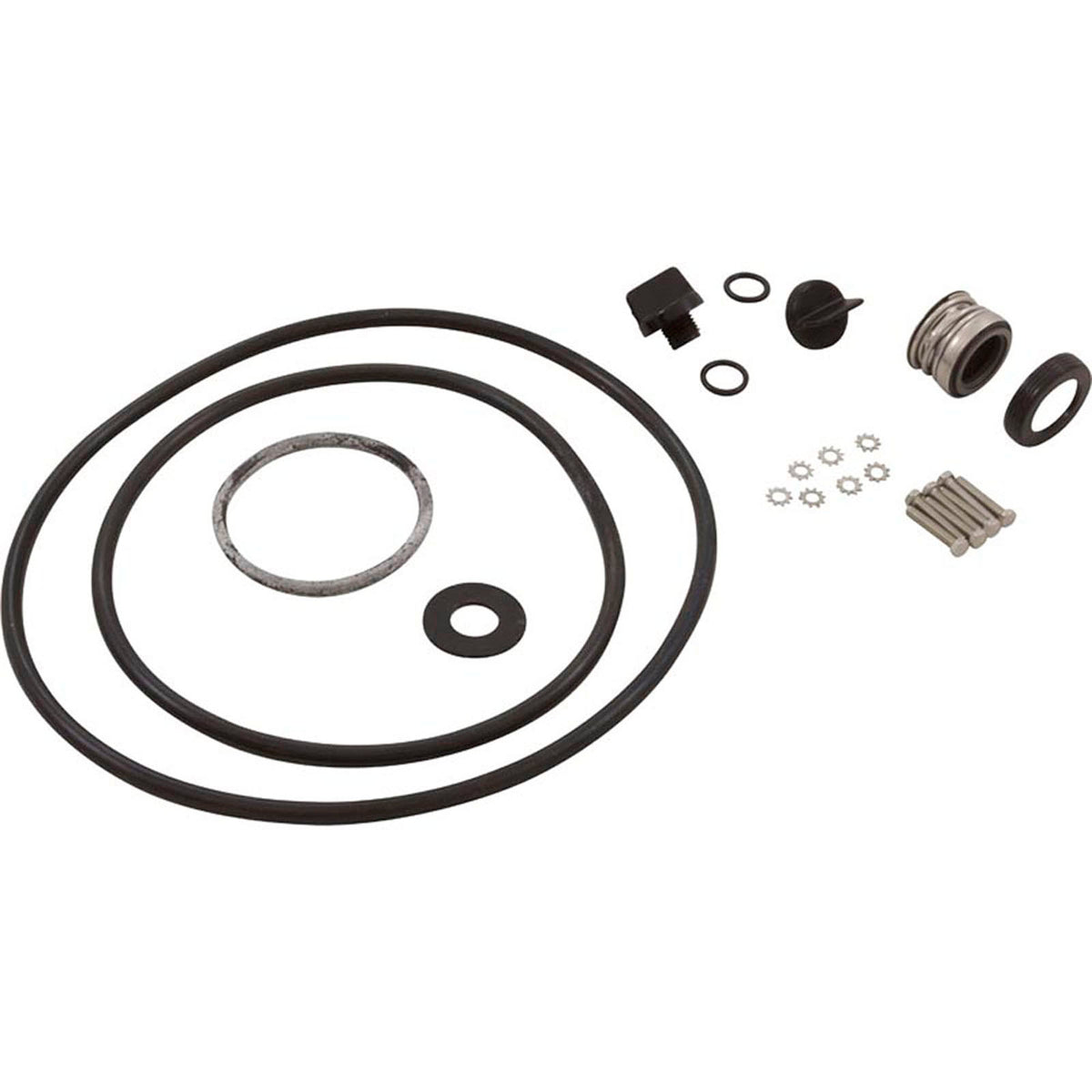 Pentair Parts Pak-Dyna-Glass Overhaul Kit