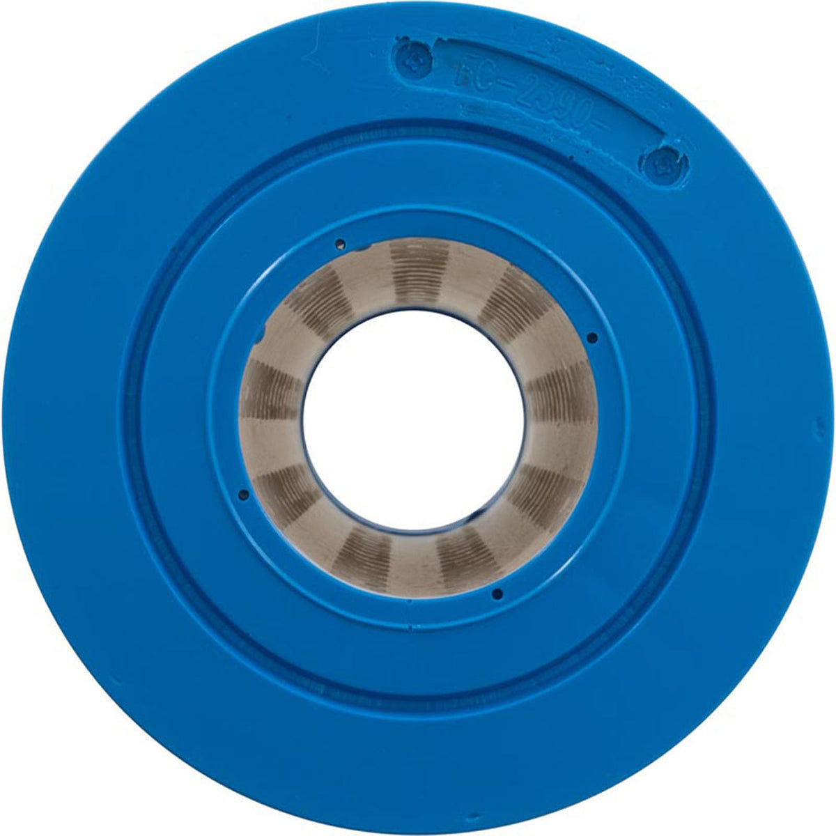 R173434 Replacement Pool Filter Cartridge