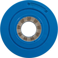 R173434 Replacement Pool Filter Cartridge