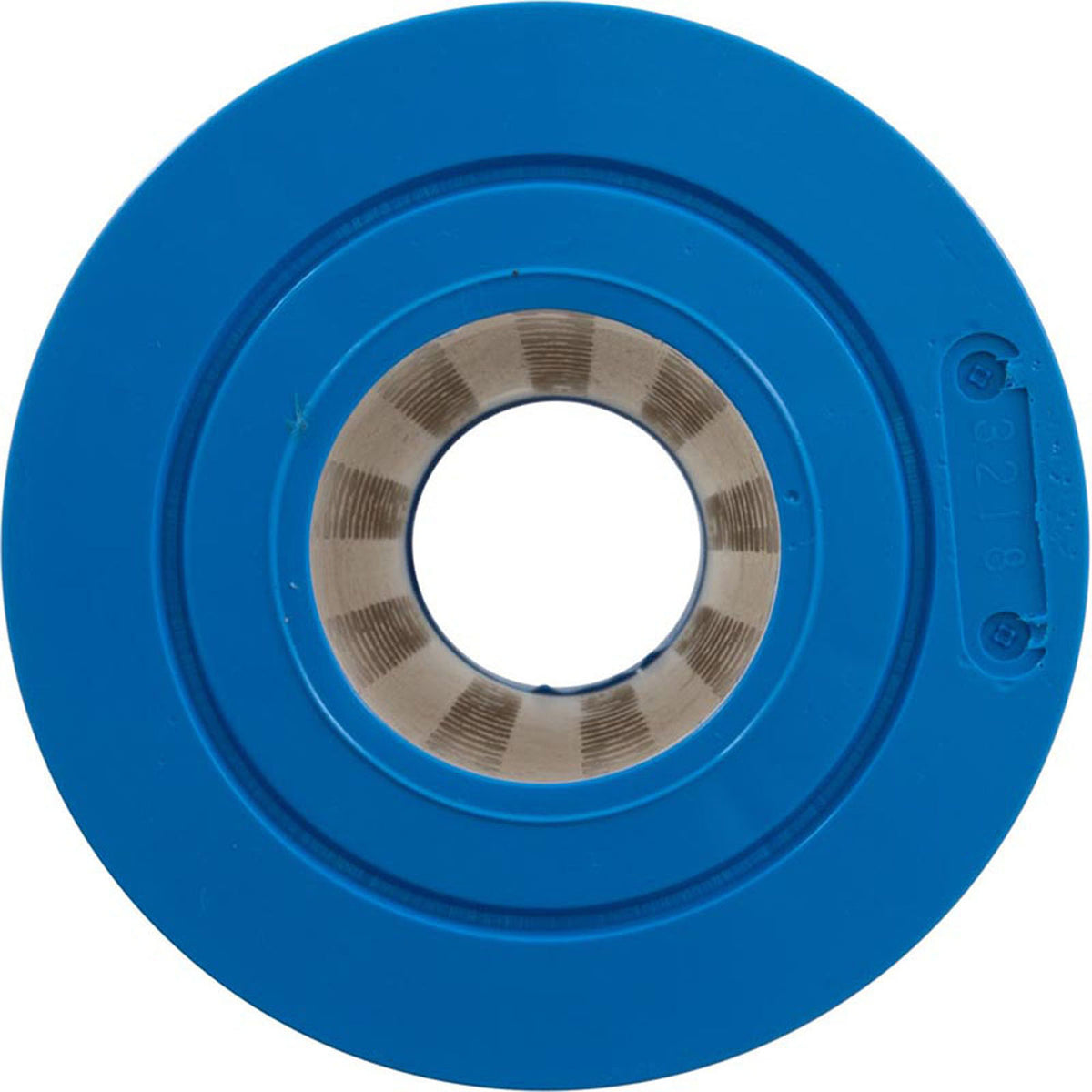 R173434 Replacement Pool Filter Cartridge