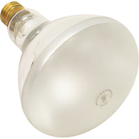 Bulb-Replacement, 400W, 120V