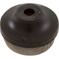 Air Relief Strainer, Pentair PacFab ST