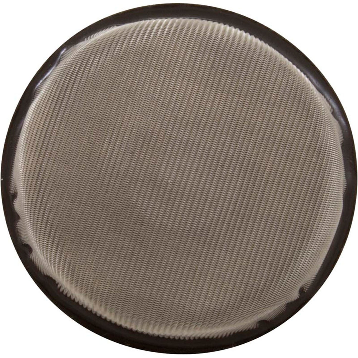 Air Relief Strainer, Pentair PacFab ST
