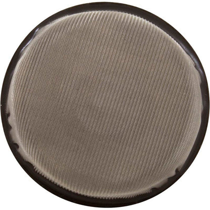 Air Relief Strainer, Pentair PacFab ST