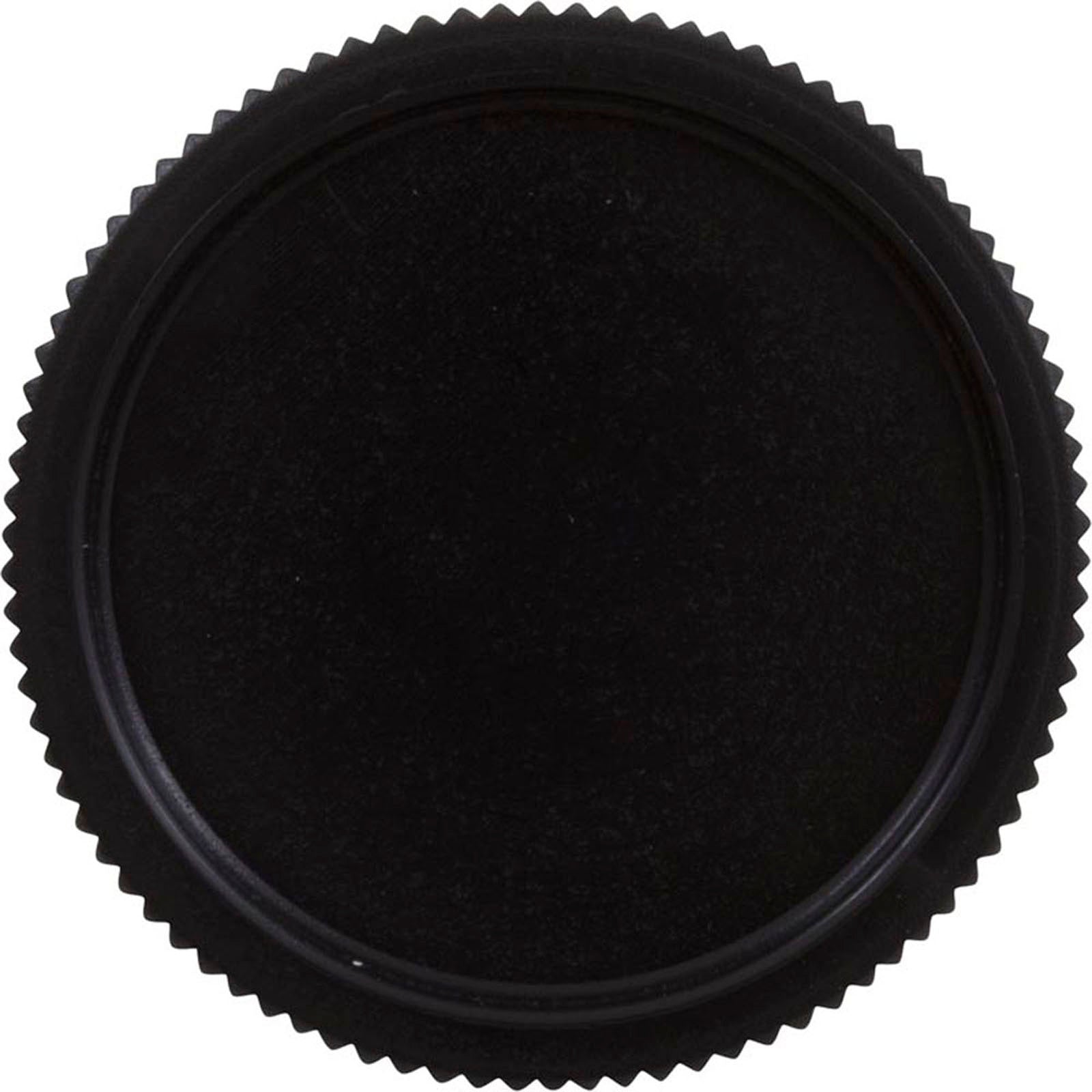 Drain Cap, Pentair American Products Warrior/CC