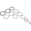 O-Ring Kit, Zodiac Jandy CL/CV/DEV