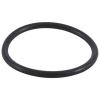 Inlet Elbow, Zodiac Jandy CL/CV/DEV, with O-Ring