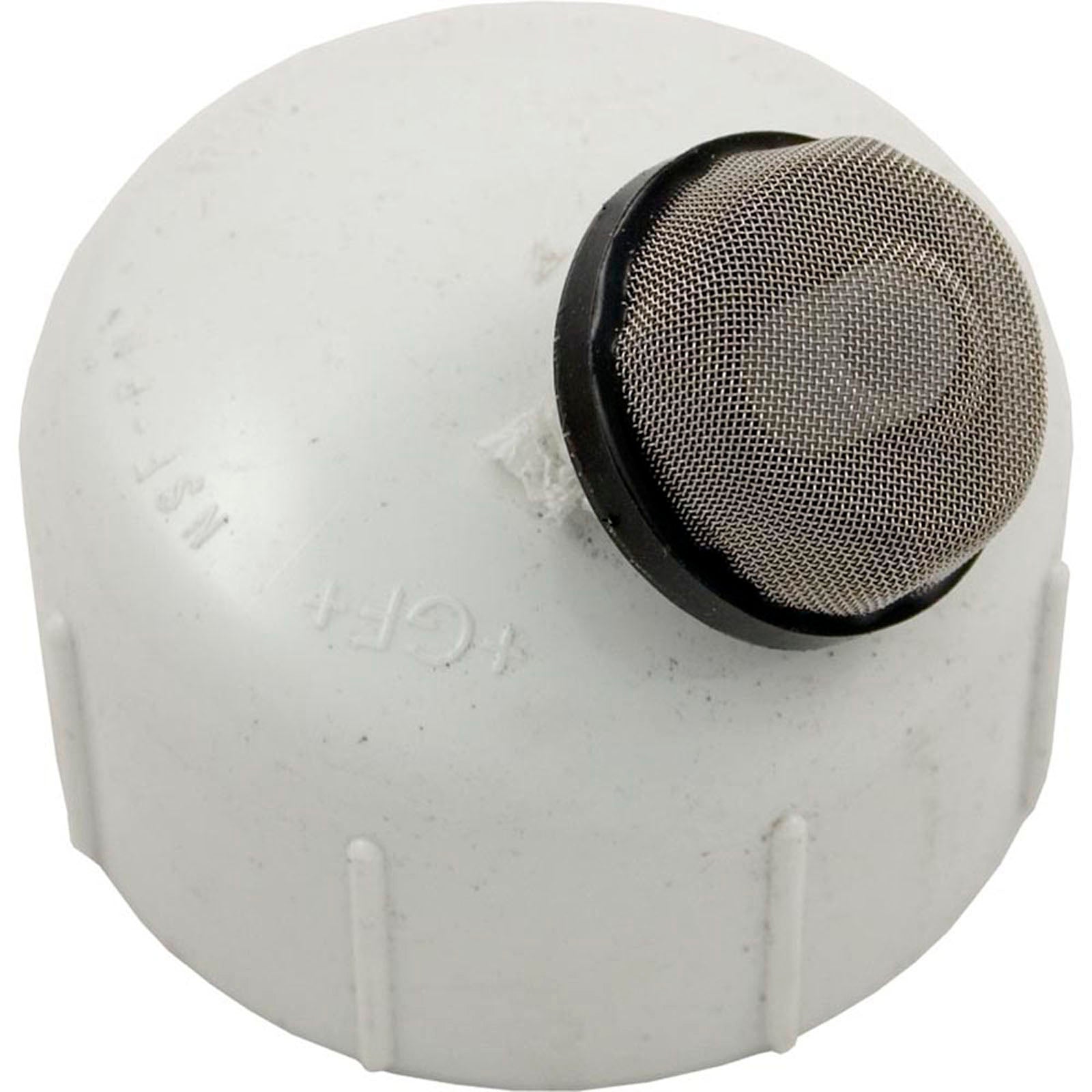 Strainer Assembly, Pentair PacFab Mytilus/Mitra