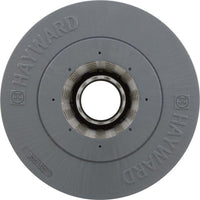 Hayward SwimClear Replacement Cartridge (CX100XRE)