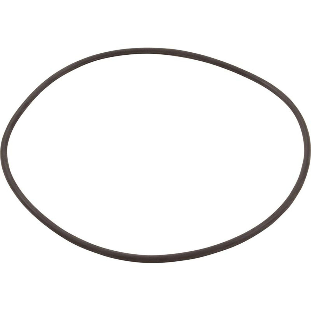 O-Ring for Filter Head