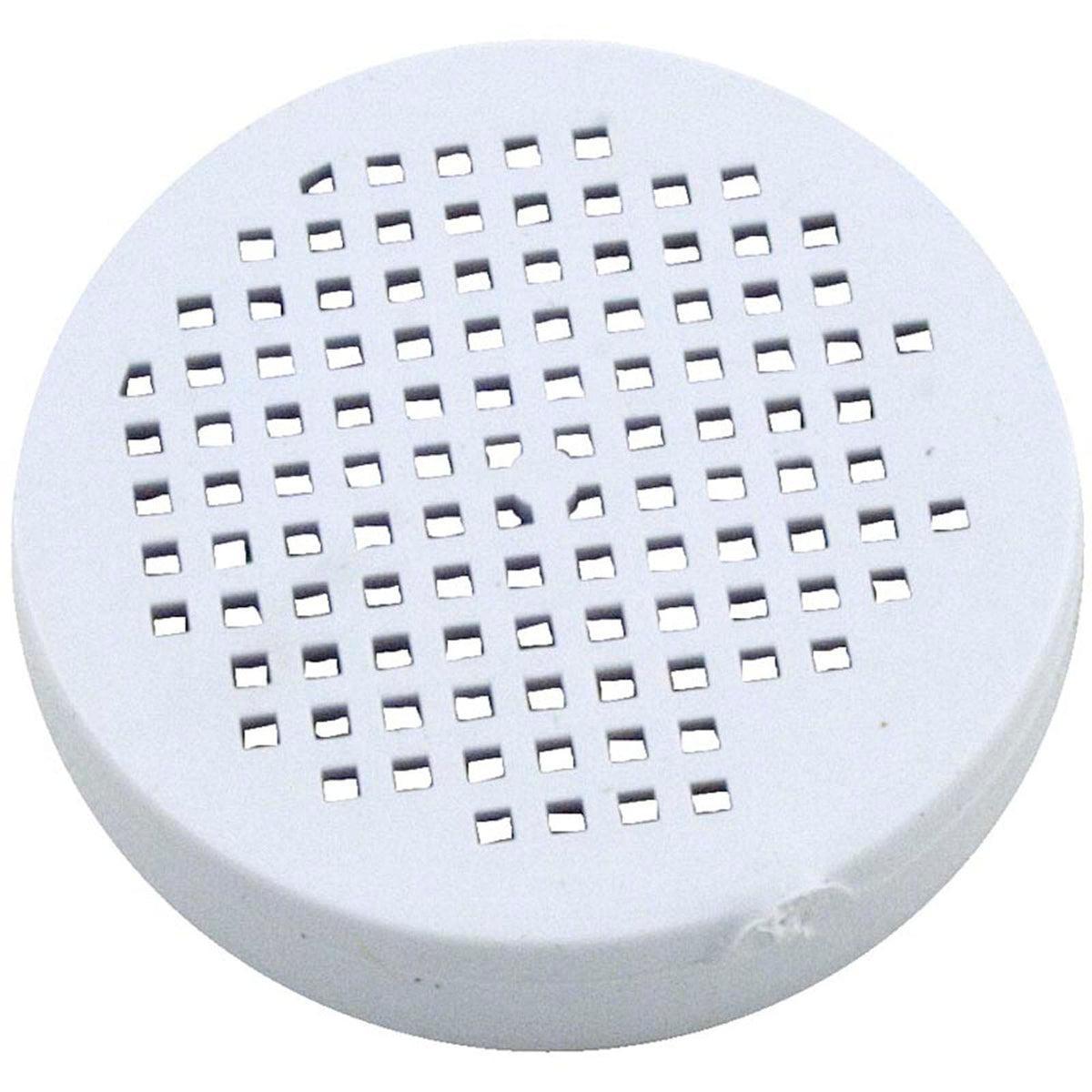 Check Valve Screen, Pentair Rainbow Bromine