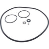 O-Ring Kit, Zodiac Jandy CS Series