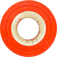 Waterway Clearwater Replacement Cartridge - 75 Sq Ft (PWW75)
