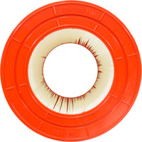 Waterway Clearwater Replacement Cartridge - 75 Sq Ft (PWW75)