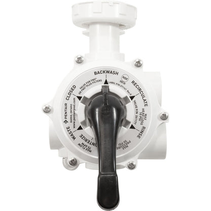 Pentair Multiport DE Valve, Side Mount, 1-1/2", w/Plumbing, Threaded, 261177