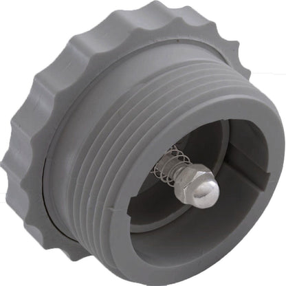 Check Valve, Spring, Return Line, 1-1/2"mpt, Dark Gray, Spa