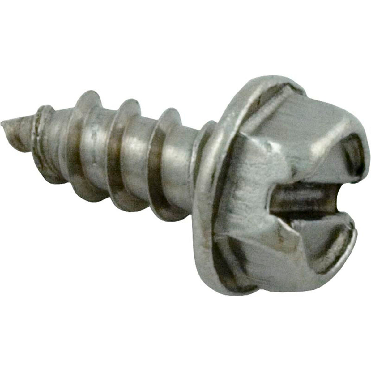 Screw, Pentair PacFab 2" PVC Slide Valve, 18-8