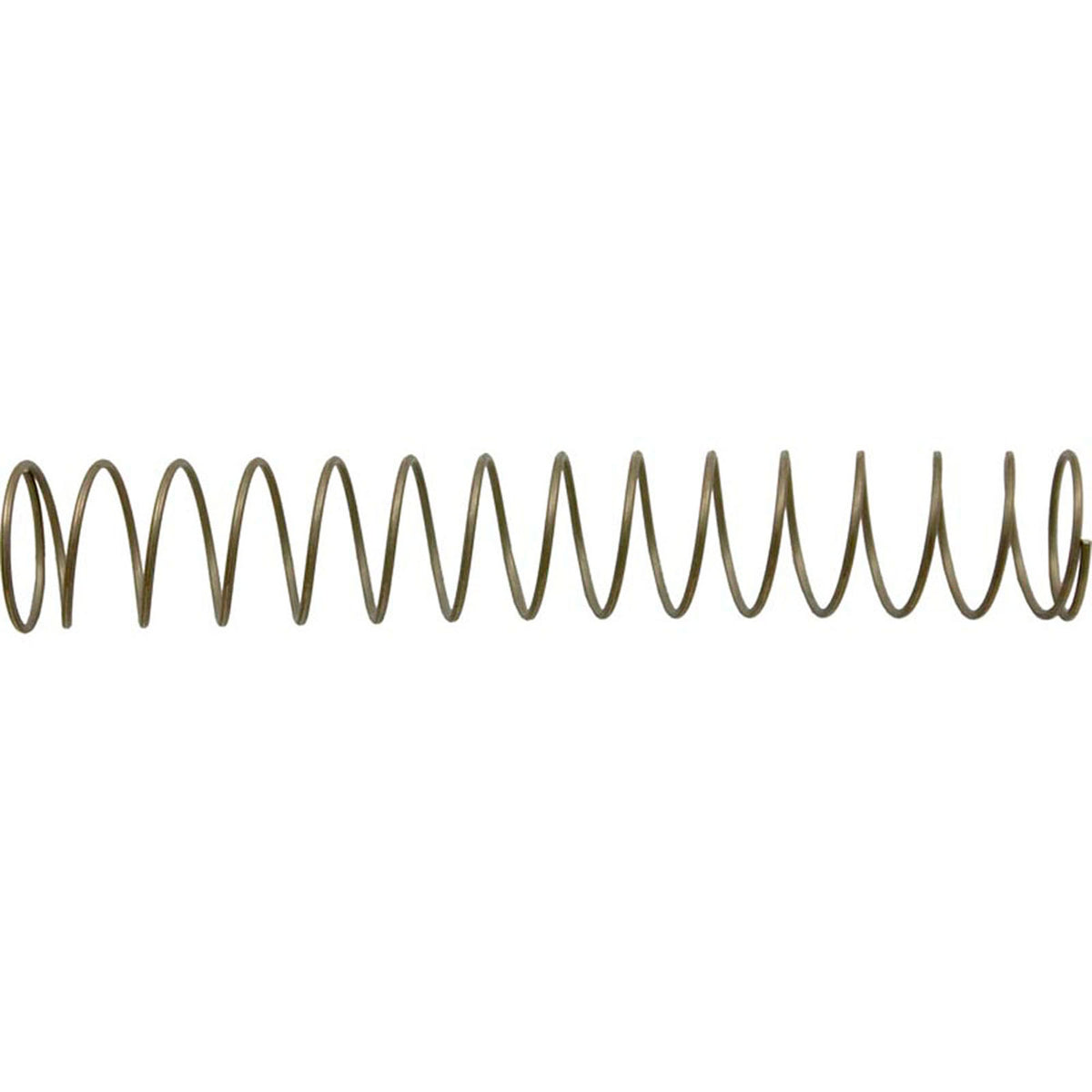 Spring, Pentair 90deg Spring Check Valve, 1 lb.