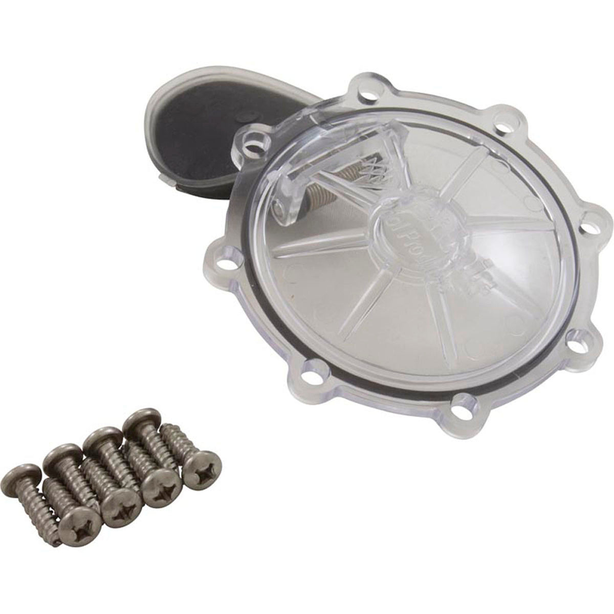 Rebuild Kit, Check Valve, Pentair CPVC 2"